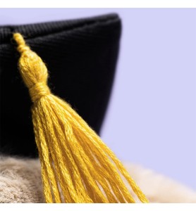 Bashful Bunny Graduation Outfit - Jellycat